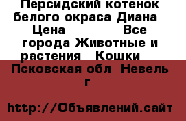 Персидский котенок белого окраса Диана › Цена ­ 40 000 - Все города Животные и растения » Кошки   . Псковская обл.,Невель г.